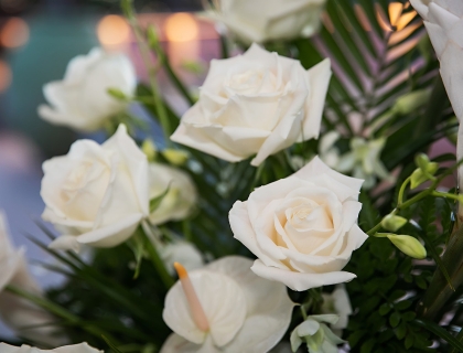 close up of white roses