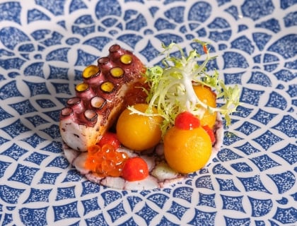 Octopus plated on a patterned plate