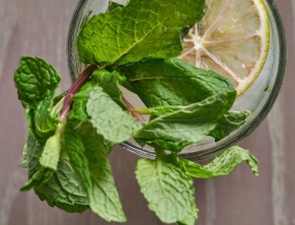 Cocktail with mint sprig