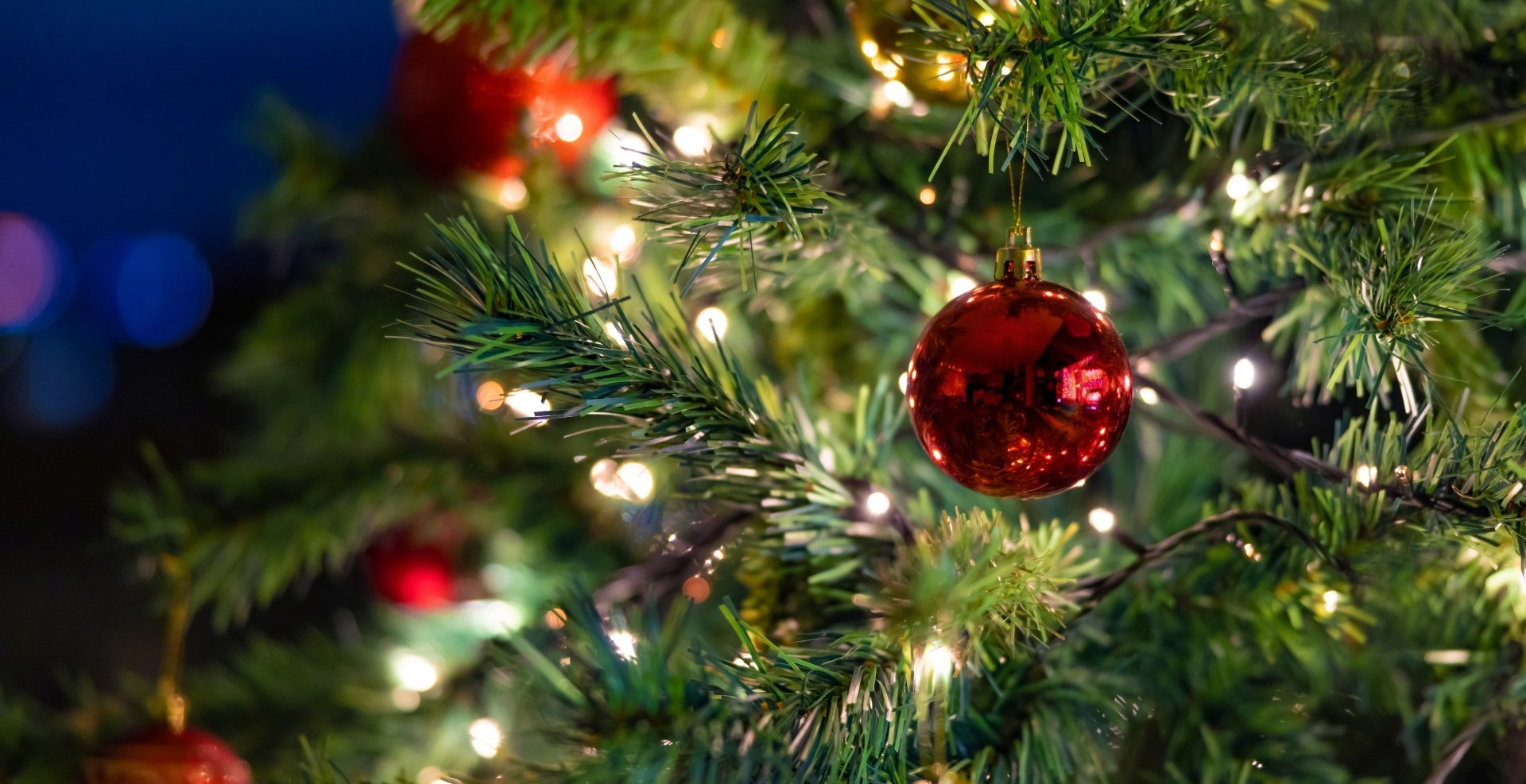 Close up of Christmas tree