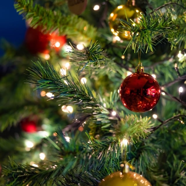 Close up of Christmas tree