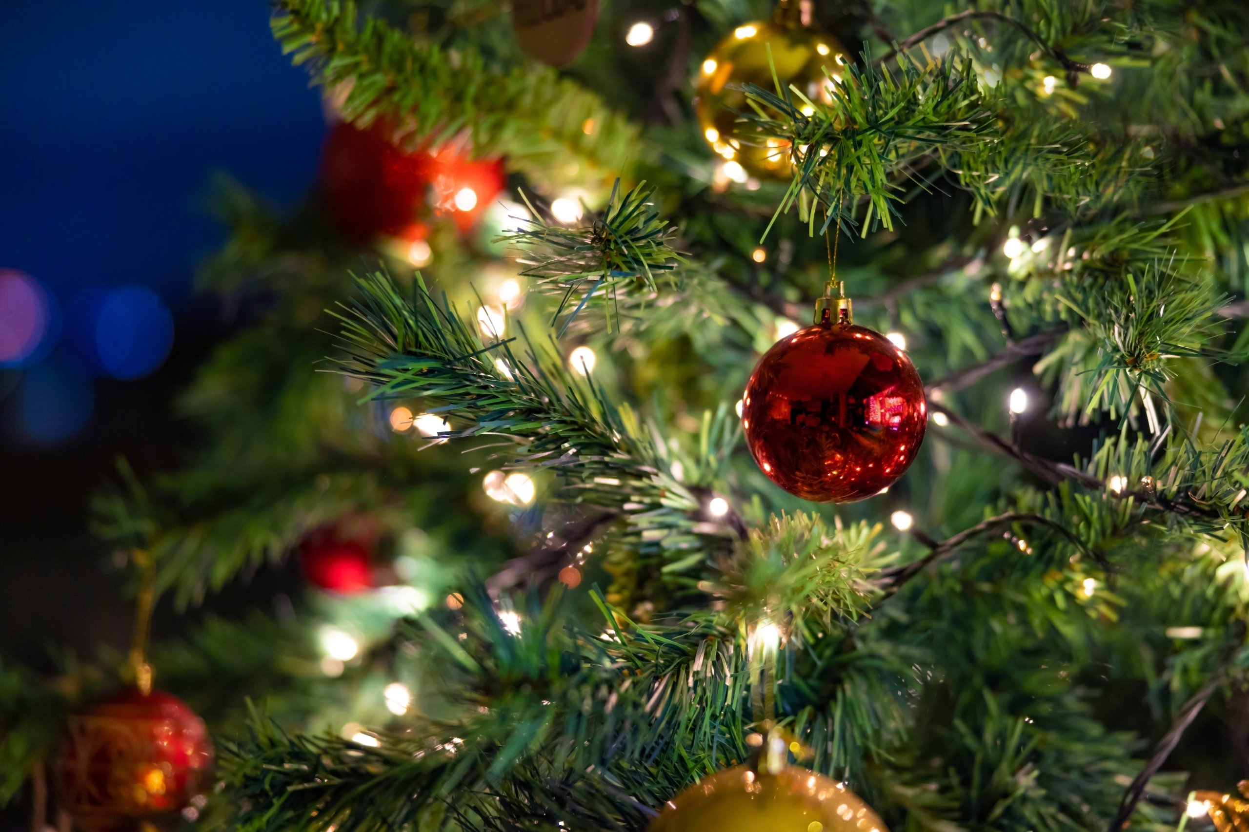 Close up of Christmas tree